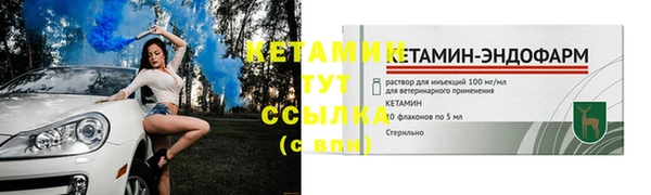 ГАЛЛЮЦИНОГЕННЫЕ ГРИБЫ Михайлов