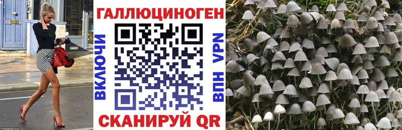 Псилоцибиновые грибы мухоморы  Наволоки 