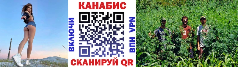 где найти наркотики  Наволоки  Бошки марихуана тримм 